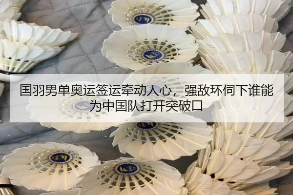 国羽男单奥运签运牵动人心，强敌环伺下谁能为中国队打开突破口